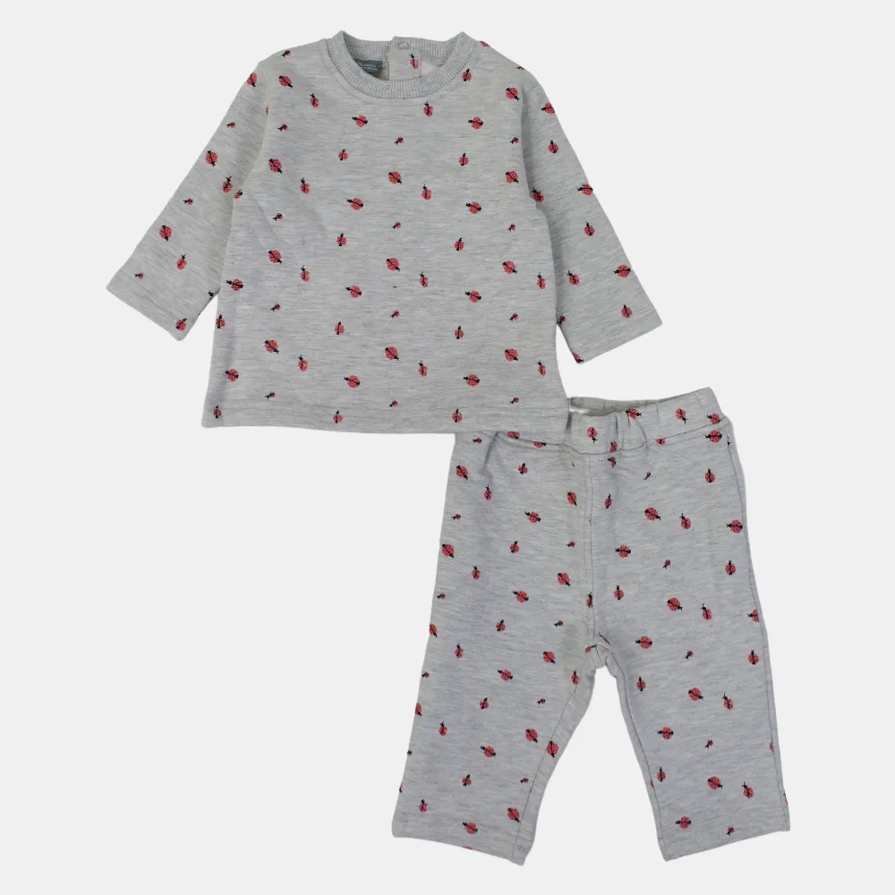 Baby Girls Milton Outfit Set – Soft Gray