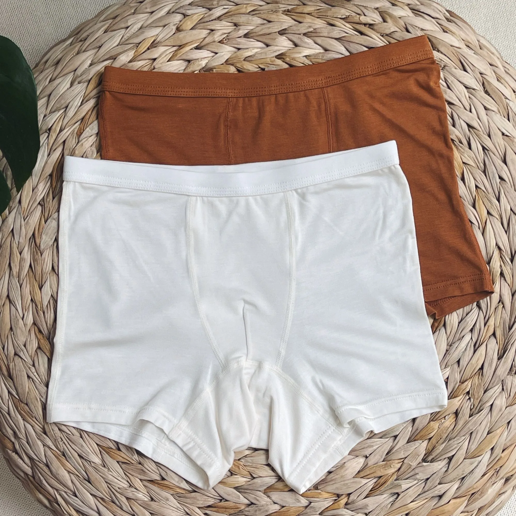 Boys' Tencel™ Micro Modal Boxer Briefs - Set Of 2 Babykids_just-peachy