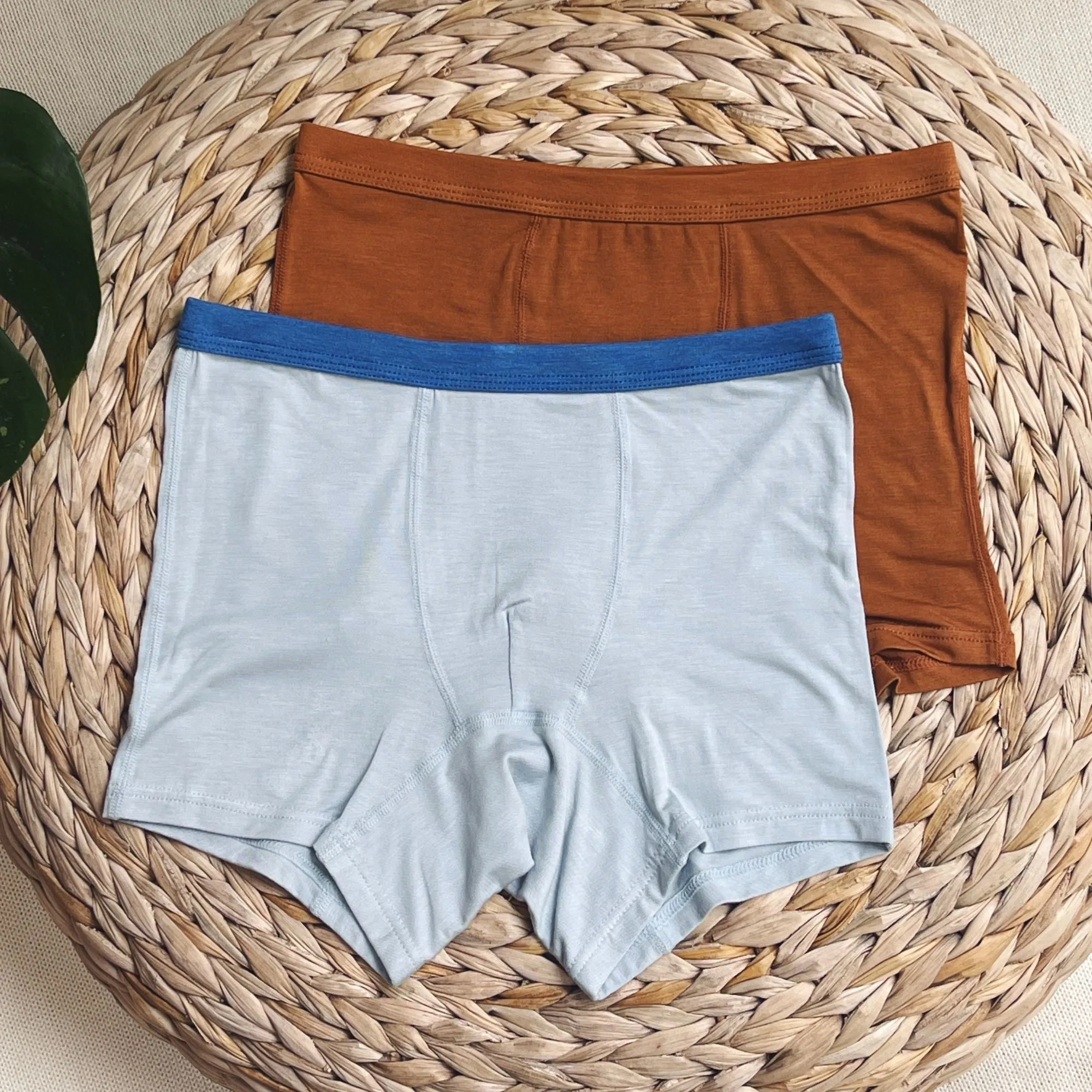 Boys' Tencel™ Micro Modal Boxer Briefs - Set Of 2 Babykids_just-peachy