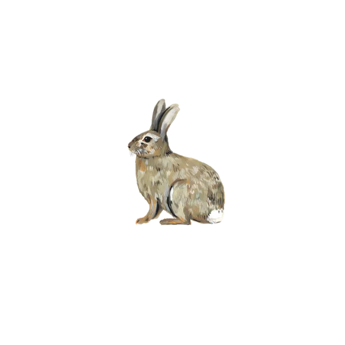 Bunny Rabbit Tattoos - Set of 2 by Tattly