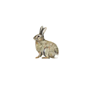 Bunny Rabbit Tattoos - Set of 2 by Tattly