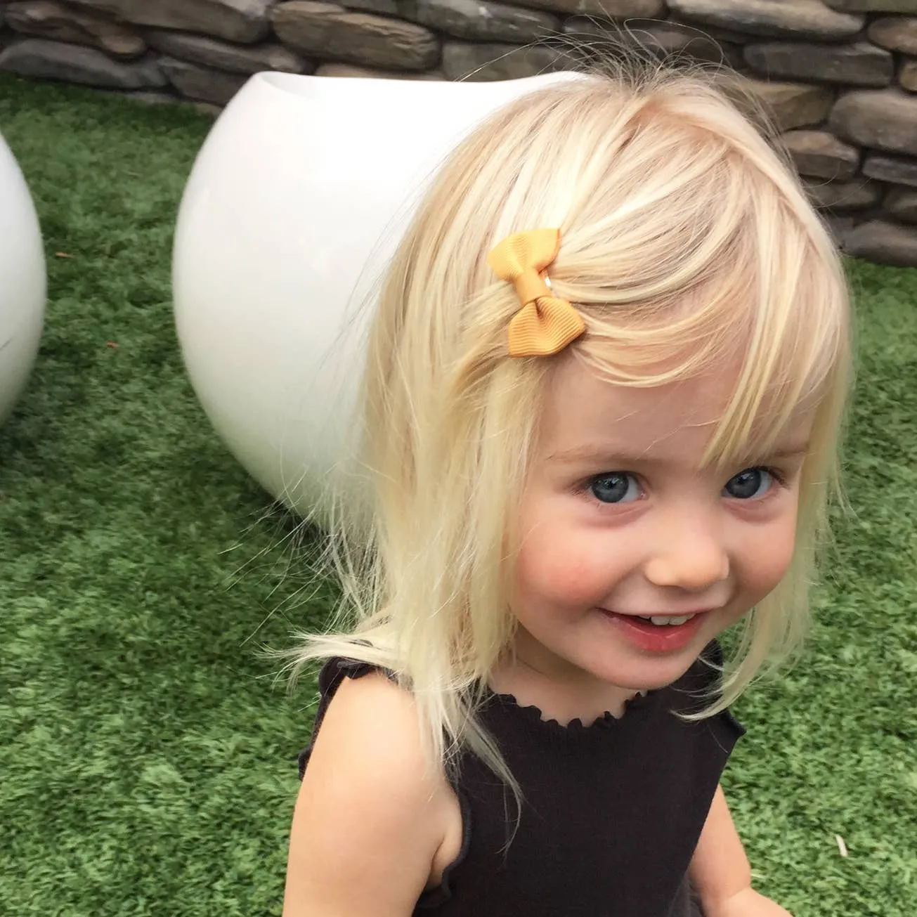 Charlotte Bows on Snap Clips Set of 5 - Swifty by Baby Wisp