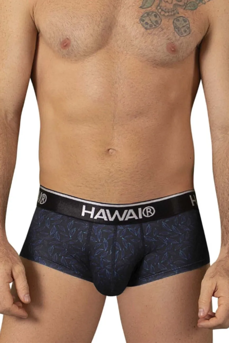 Clothing_Hawair_Mens Underwear HAWAI 42380 Printed Briefs Color Black