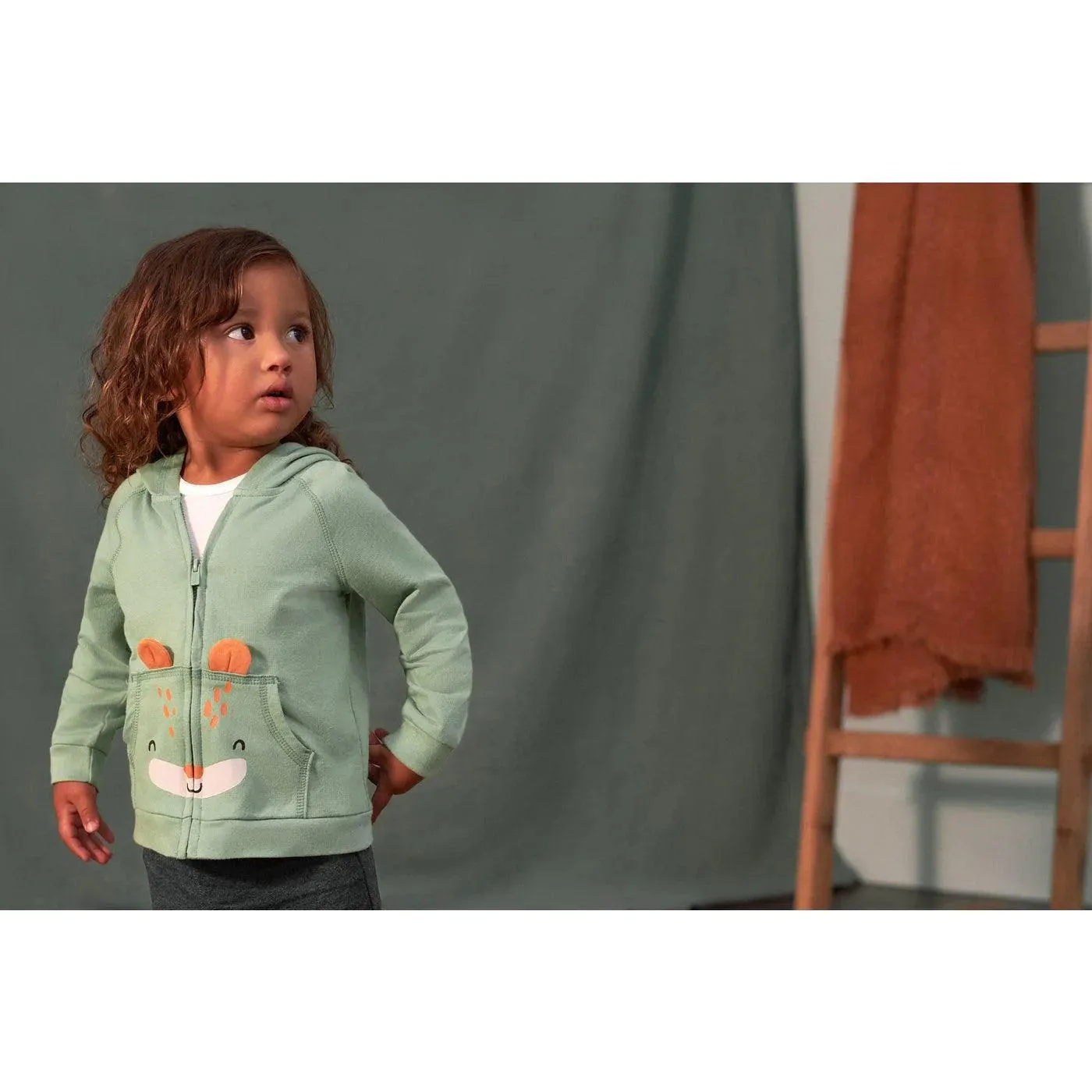 Gerber 2-Piece Baby & Toddler Boys Fox Terry Zip Hoodie & Joggers Set (2-5t) Babykids Gerber
