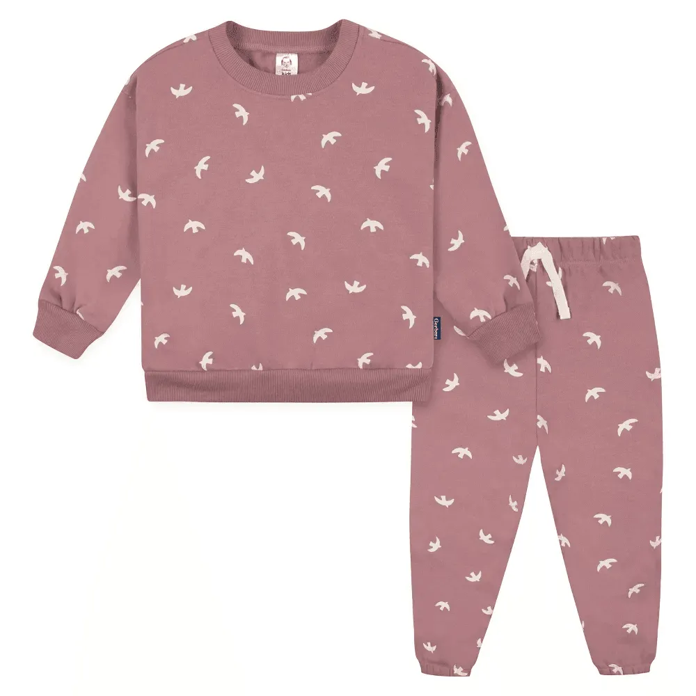 Gerber Baby and Toddler Girls' 2-Piece Sweatshirt & Active Pant Set - Birds Babykids Gerber