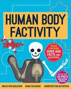 Human Body Factivity