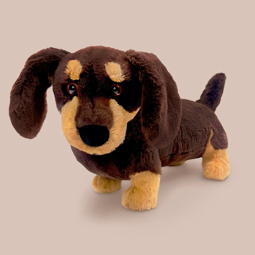 Jellycat Otto Sausage Dog and The Loyal Long Dog Book Gift Set