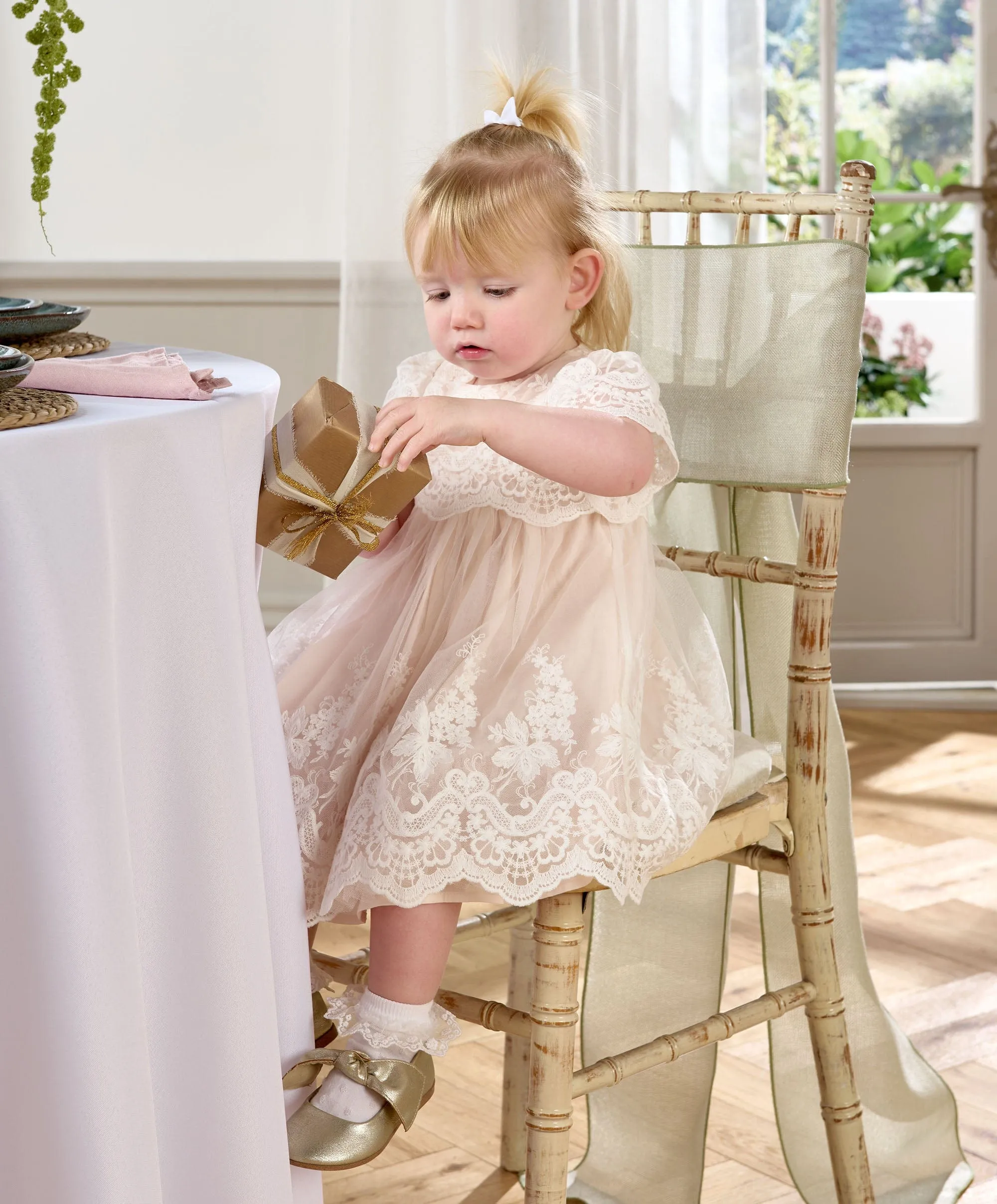 Lace Frill Sleeve Dress