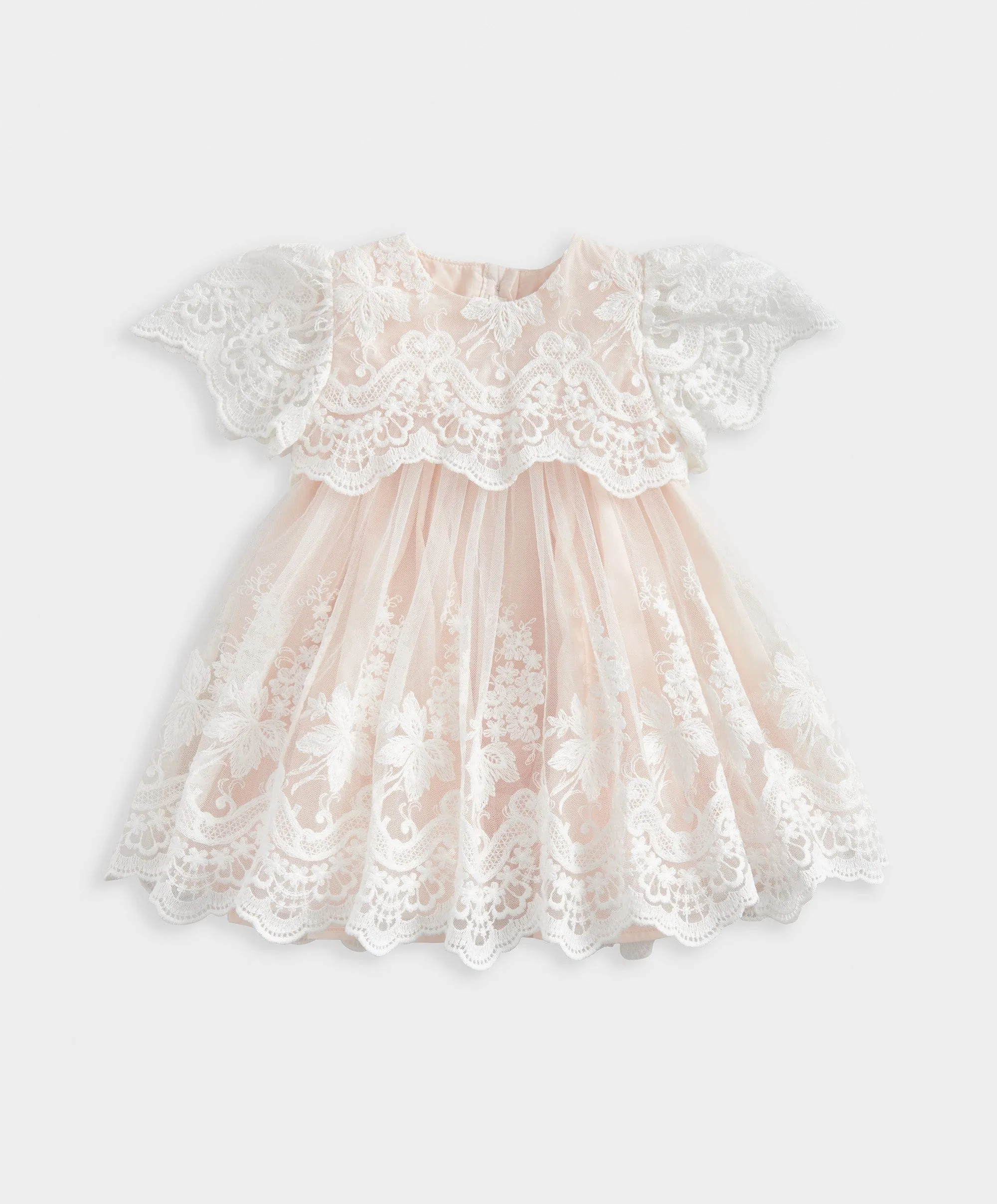 Lace Frill Sleeve Dress