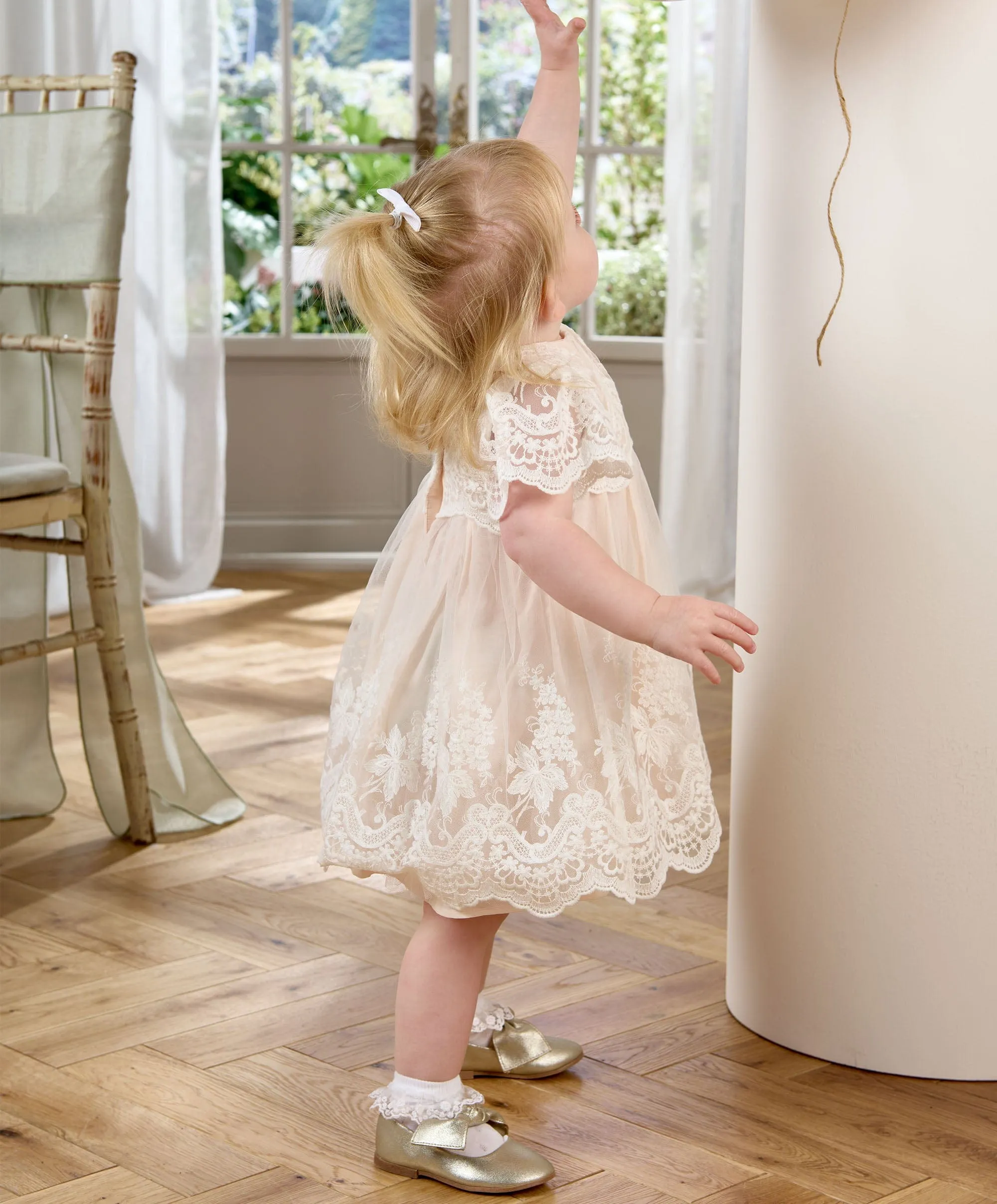 Lace Frill Sleeve Dress