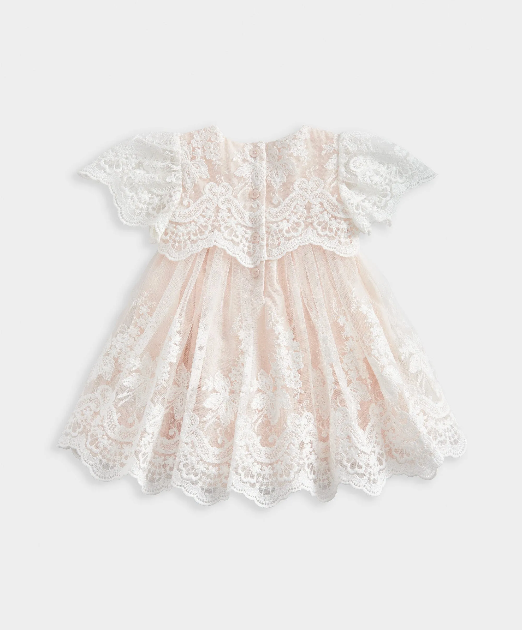 Lace Frill Sleeve Dress
