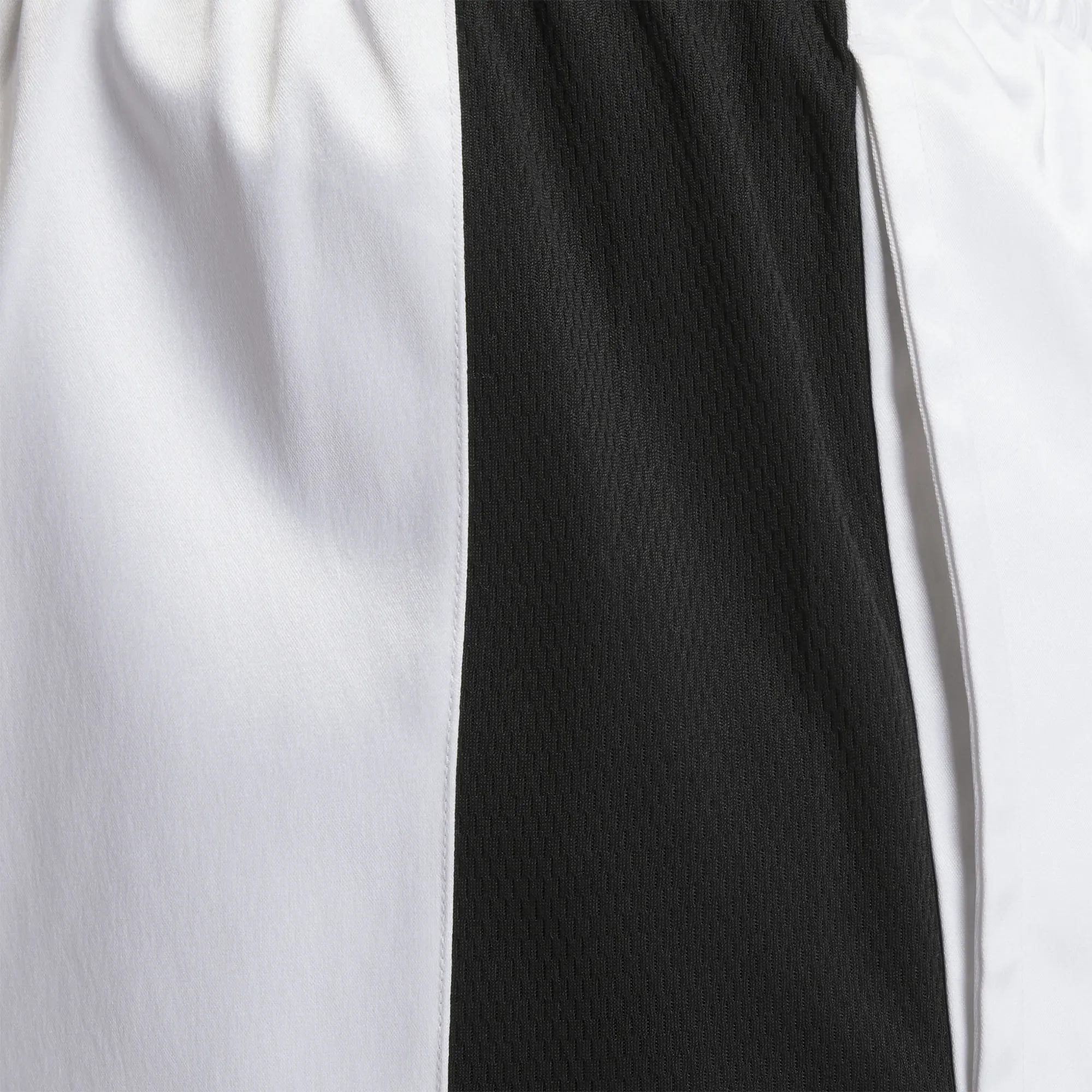 Reebok Clothing Men's Basketball Satin and Mesh Shorts
