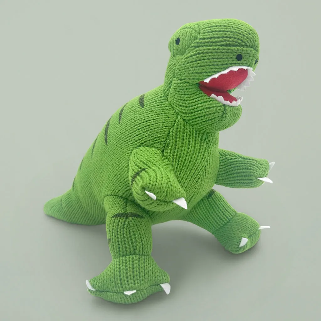 T Rex Soft Toy and Personalised Pyjamas