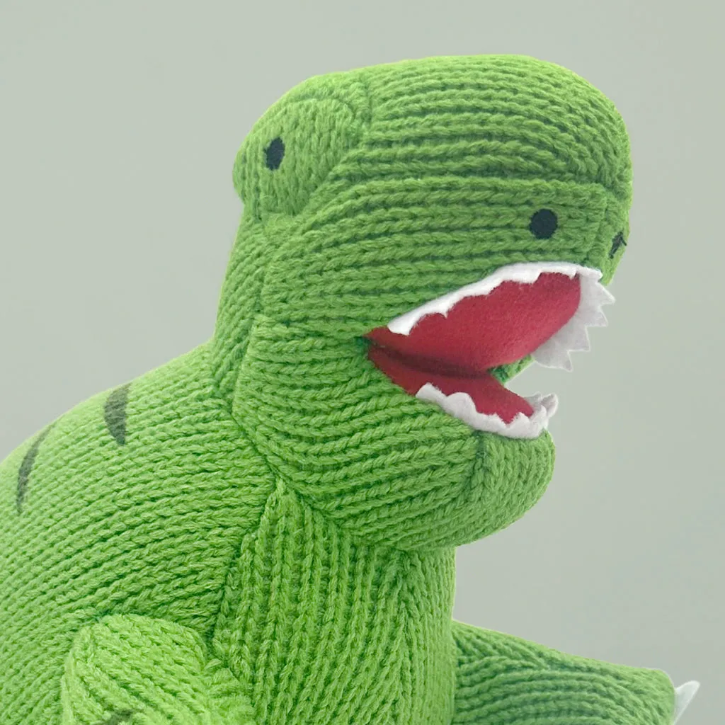 T Rex Soft Toy and Personalised Pyjamas