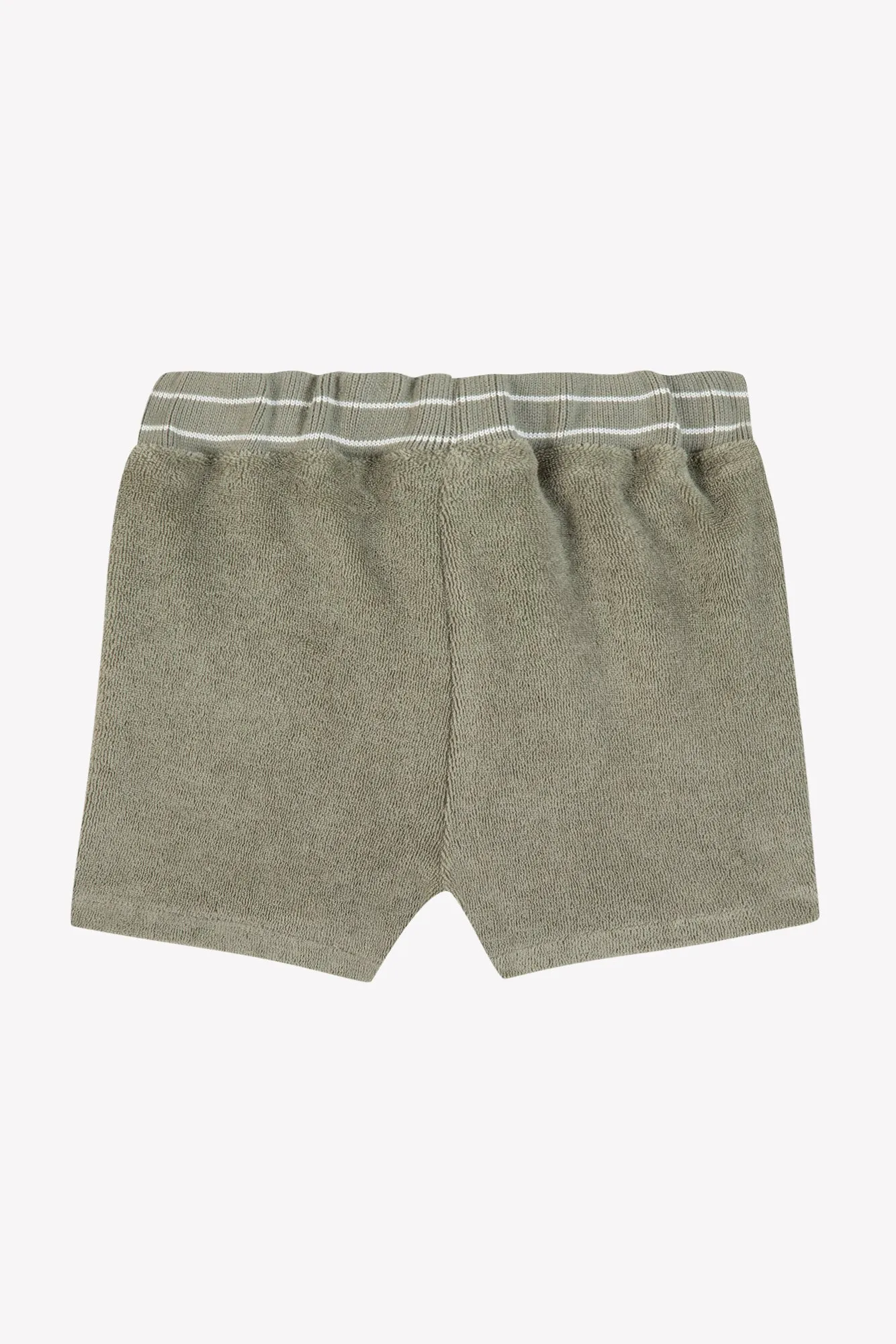 Tartine Et Chocolat Boys Girls BABY EXPLORATEUR EN HERBE SHORT9 - Fougère