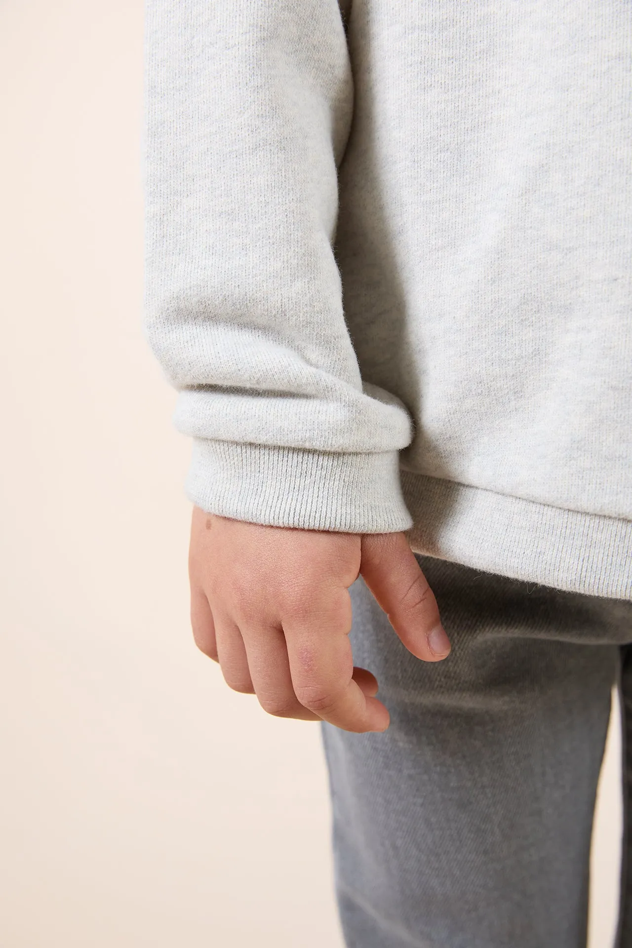 Tartine Et Chocolat Boys Girls BABY EXPLORATEUR EN HERBE SWEAT 1 - Gris chiné