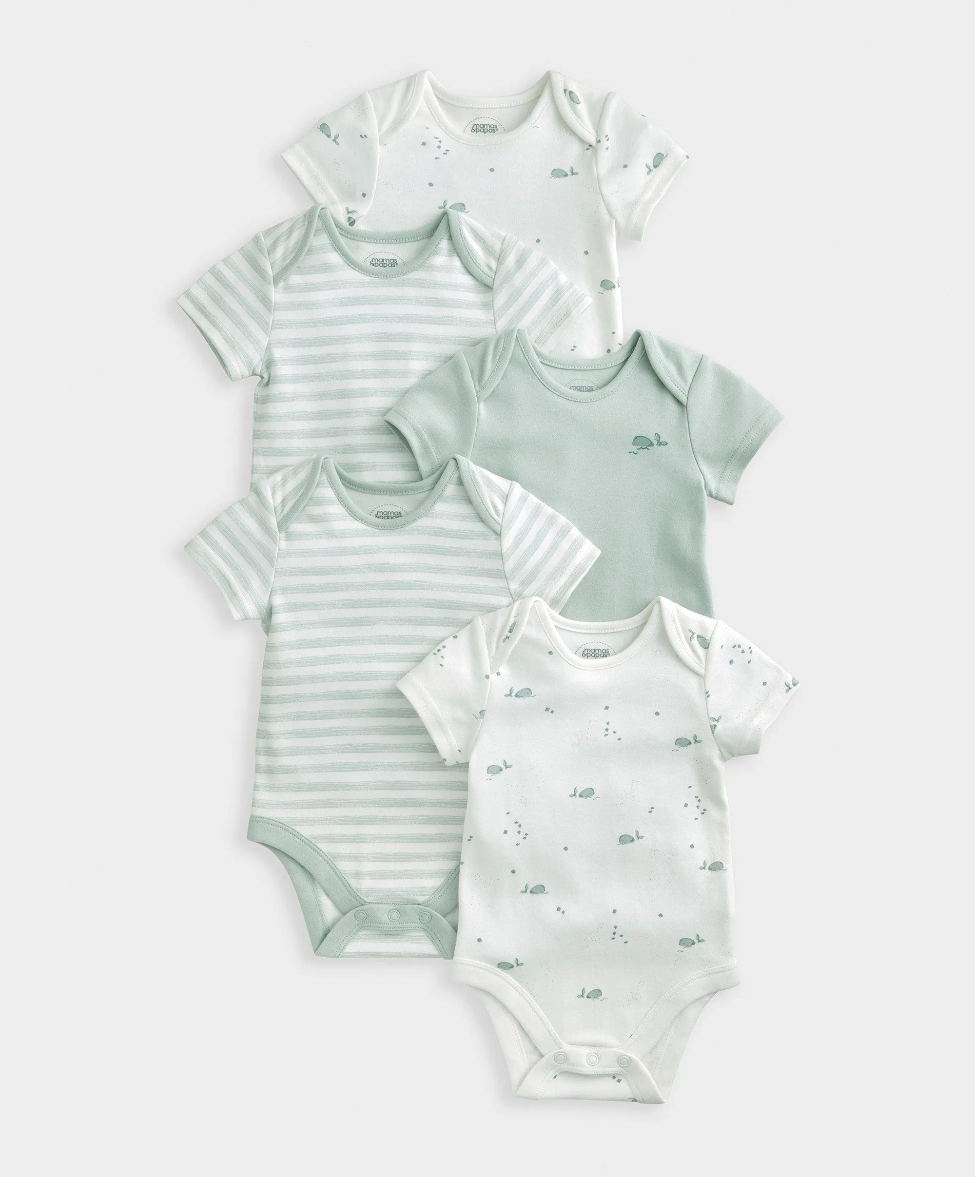 Whale Short Sleeve Bodysuits (Set of 5)