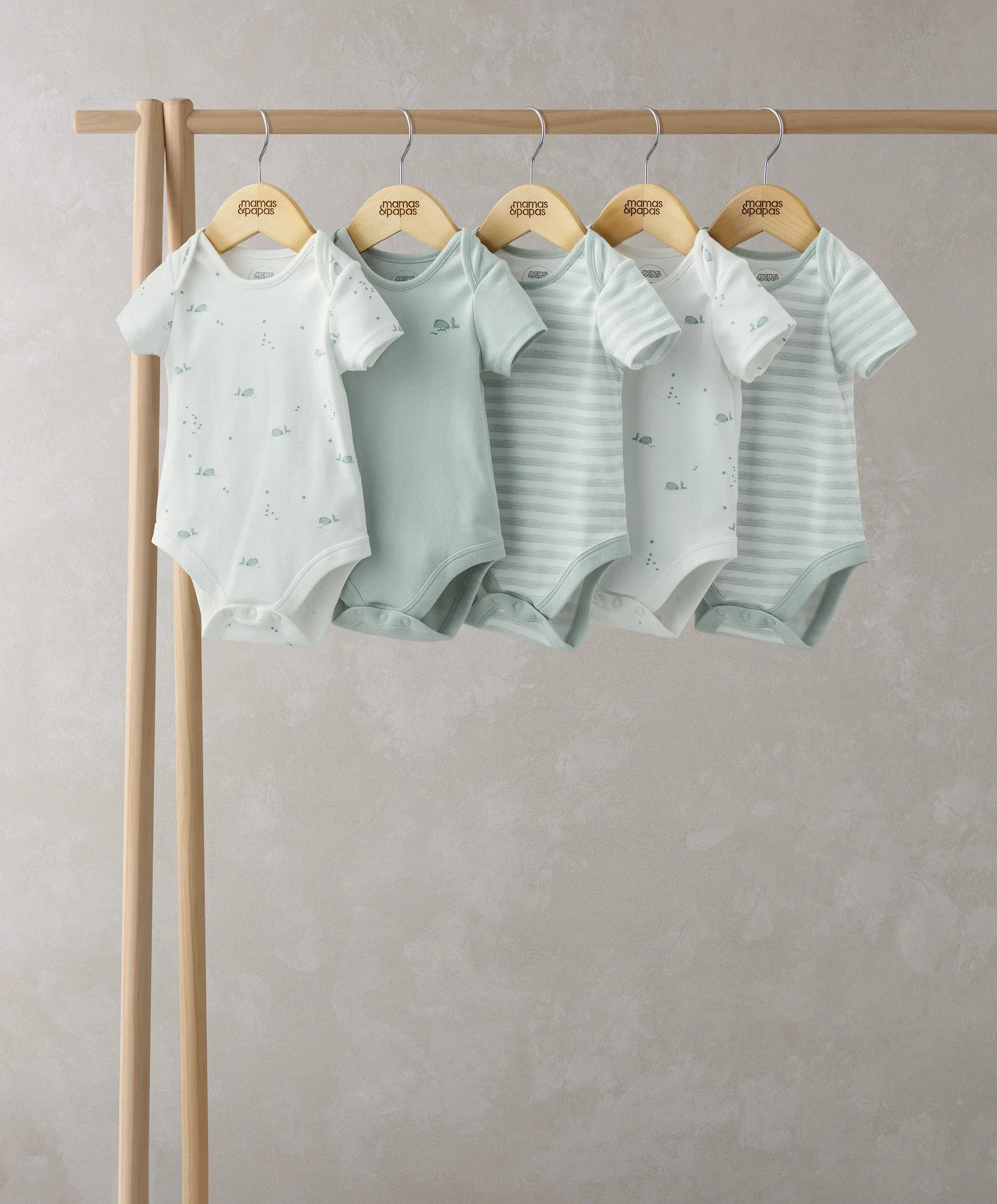 Whale Short Sleeve Bodysuits (Set of 5)