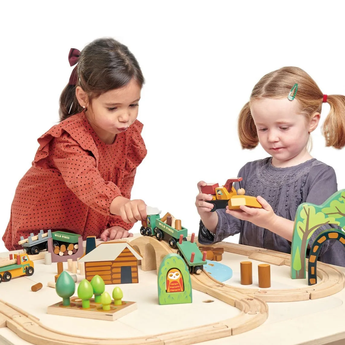 Wild Pines Large Train Set