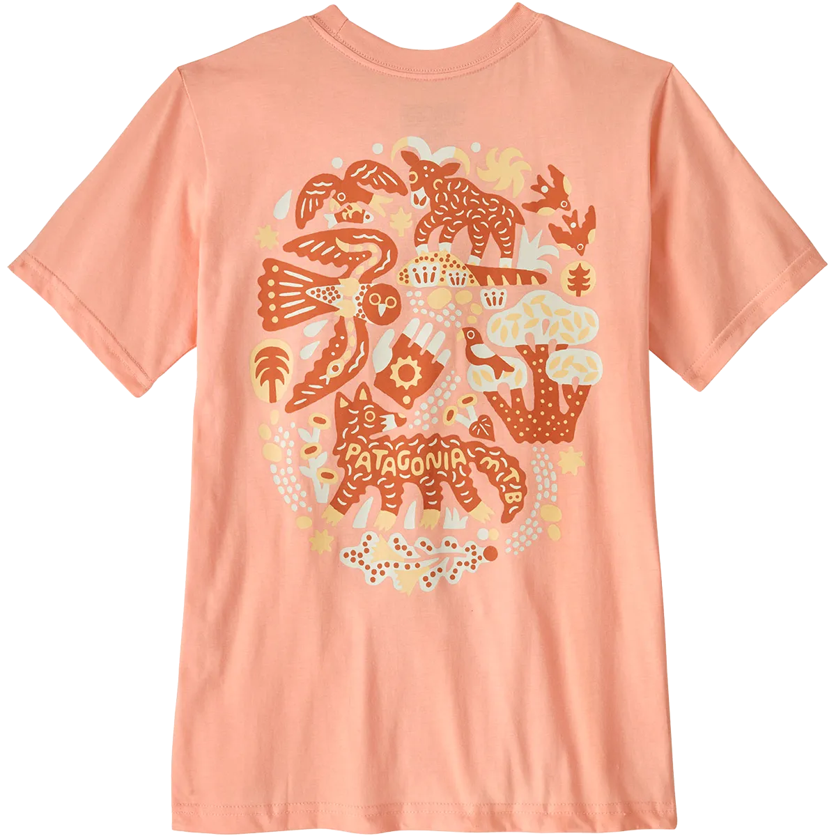 Youth Graphic T-Shirt Patagonia Clothing
