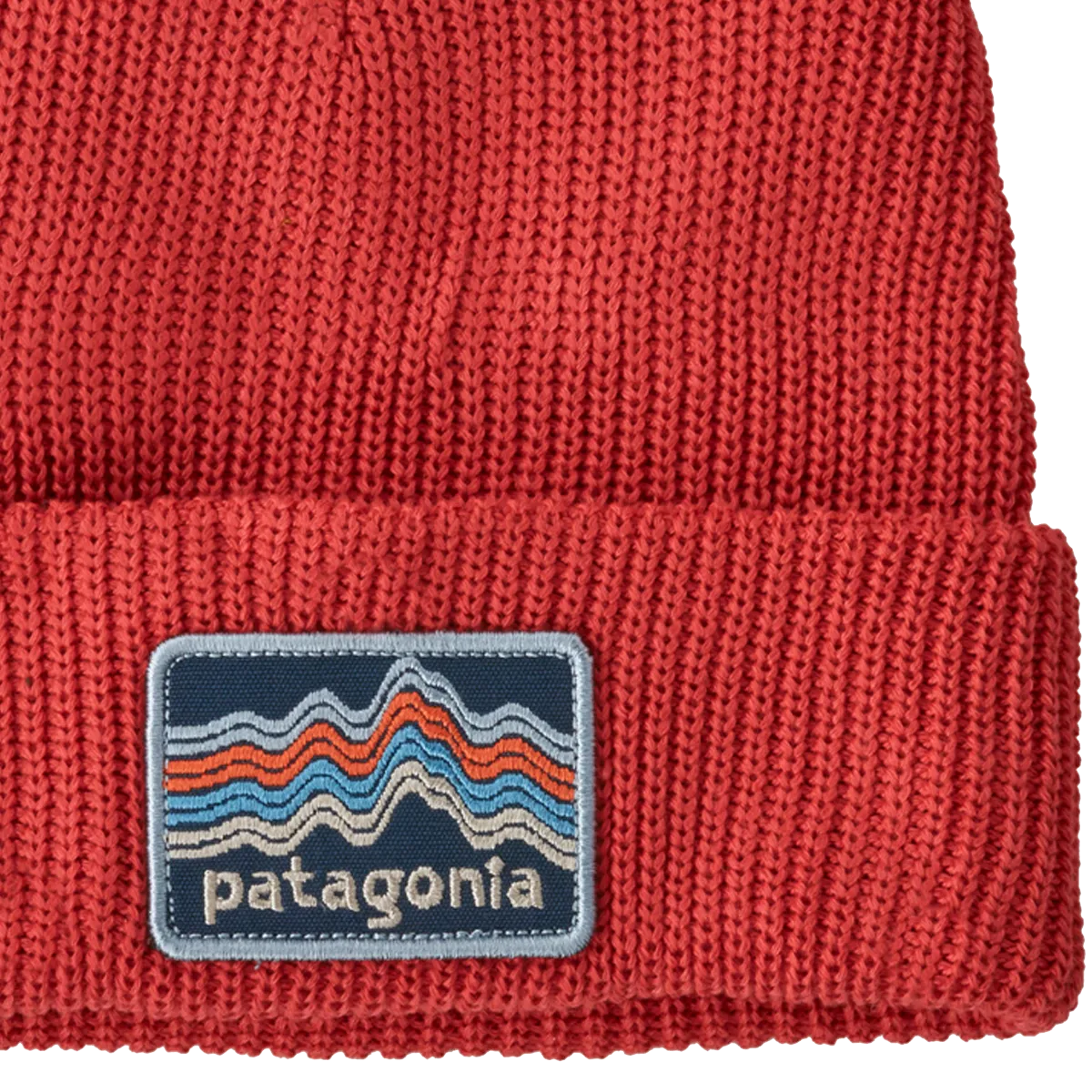 Youth Logo Beanie Patagonia Clothing