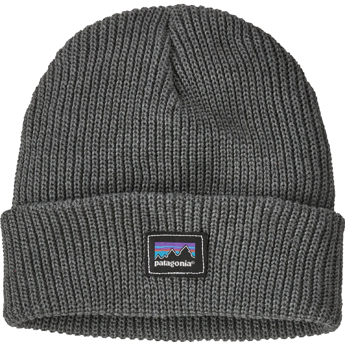 Youth Logo Beanie Patagonia Clothing