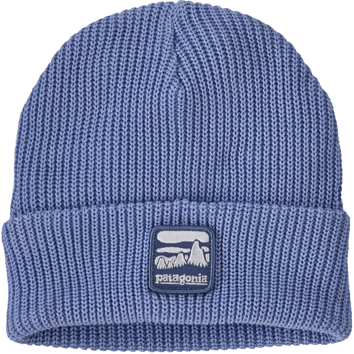 Youth Logo Beanie Patagonia Clothing