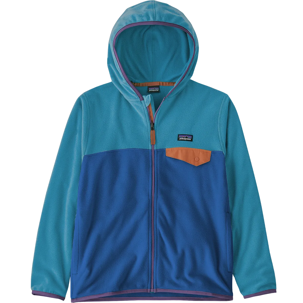 Youth Micro D Snap-T Fleece Jacket Patagonia Clothing