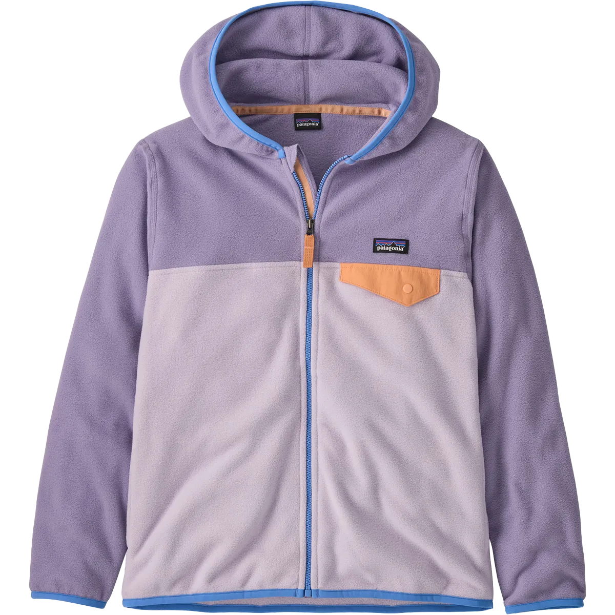 Youth Micro D Snap-T Fleece Jacket Patagonia Clothing